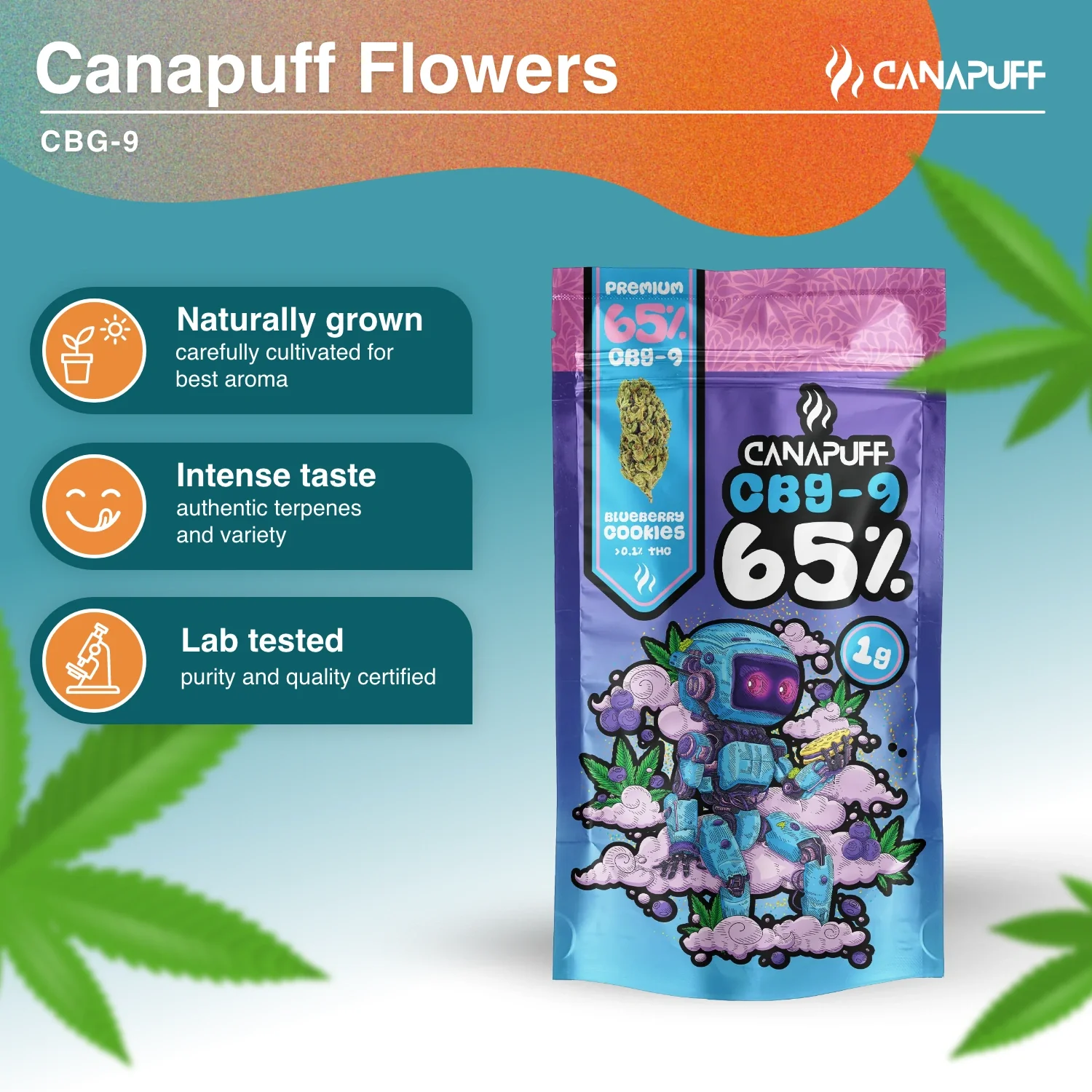 CBG9 Flowers Blueberry Cookie 65% - Image 2