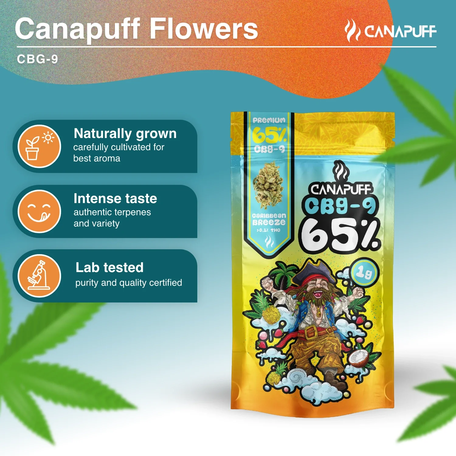 CBG9 Flowers Caribbean Breeze 65% - Image 2
